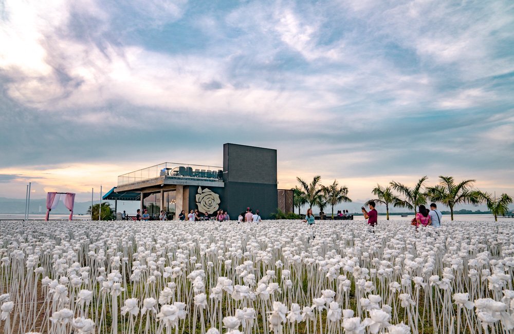 10000-roses-cebu2 - Highland Adventure Tours