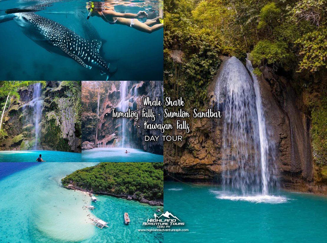 Whale Shark Tumalog Falls Sumilon Sandbar Kawasan Falls - Highland Adventure Tours